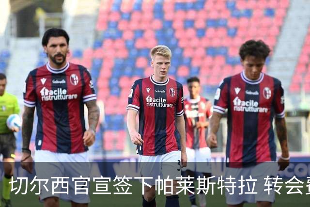 切尔西官宣签下帕莱斯特拉 转会费超5500万欧签约7年